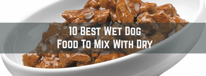 best wet dog food to mix with dry