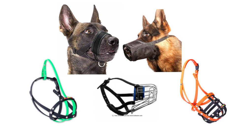 best muzzles for dogs that allow drinking and panting