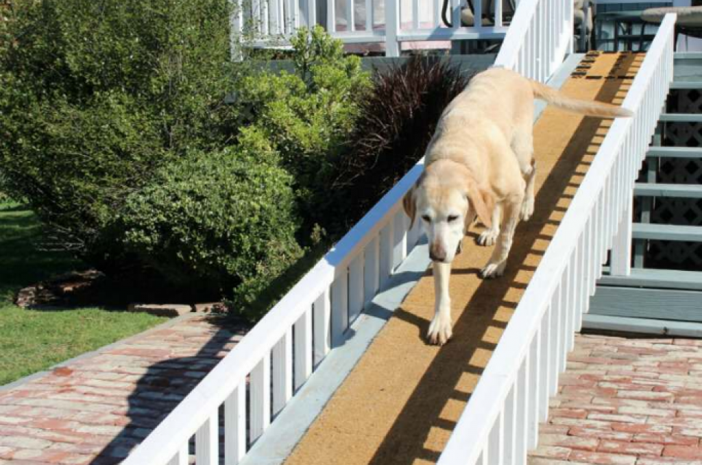 dog ramps for steep stairs