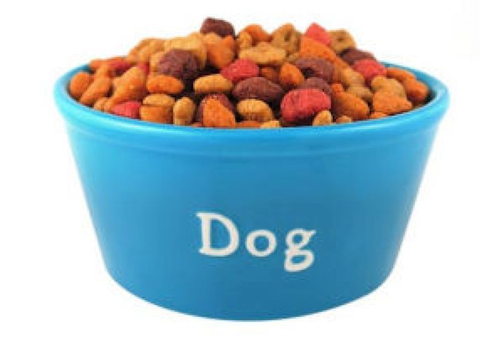 Best Dog Food to Prevent Gas