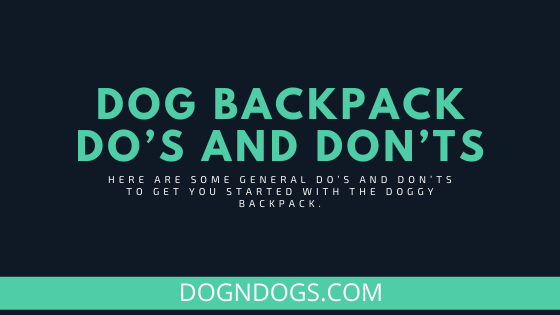 Dog hiking backpack the best dog pack for hiking
