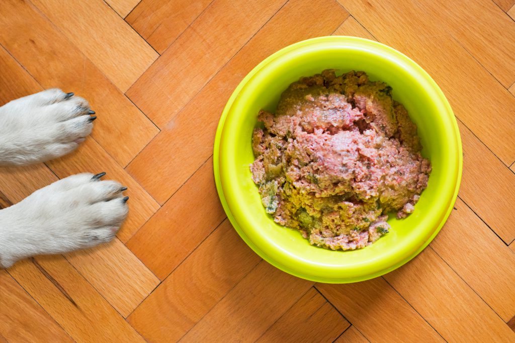 best multivitamin for dogs on homemade diet