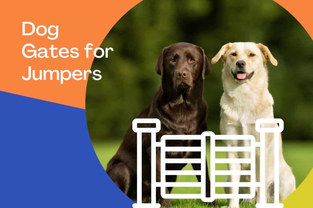 Best Dog Gates for Jumpers