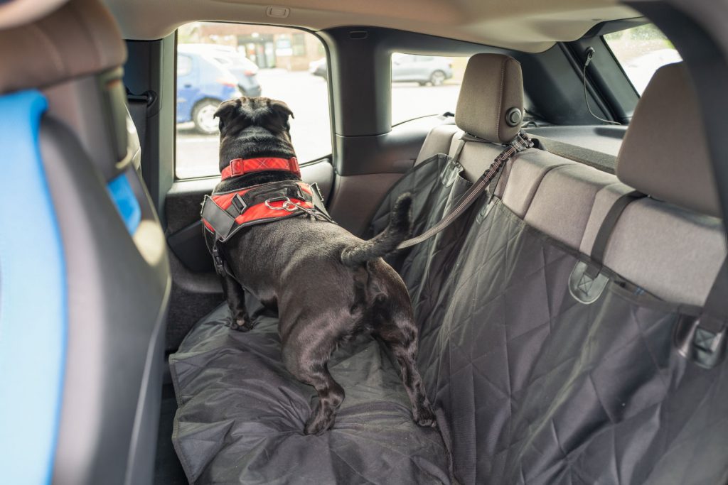 Best Dog Seat Covers for Leather Seats