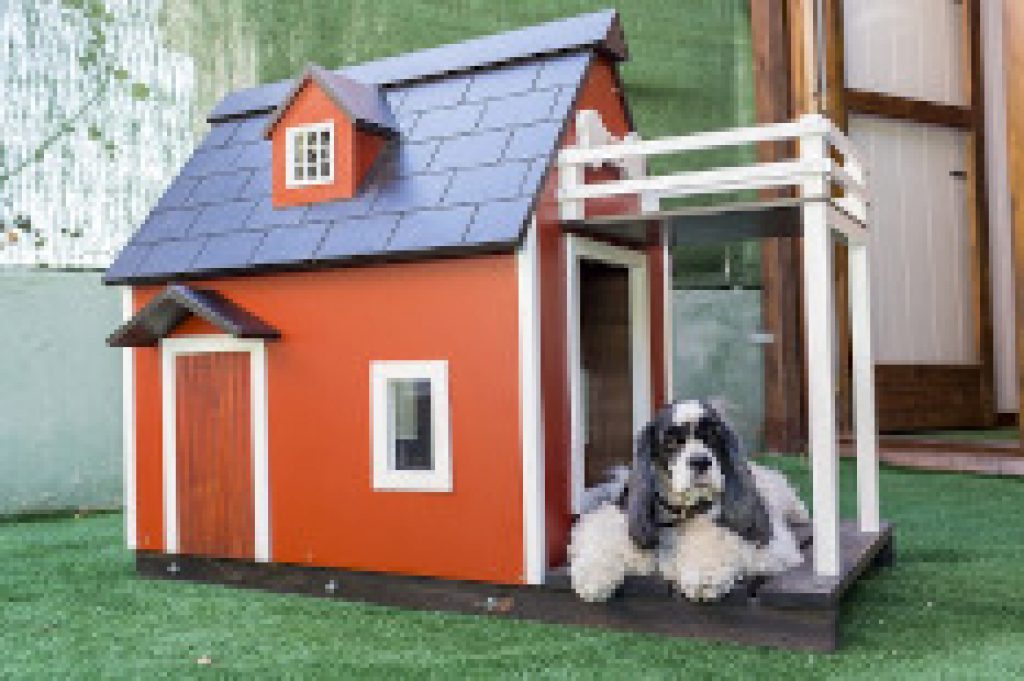 Best heated dog house for winter