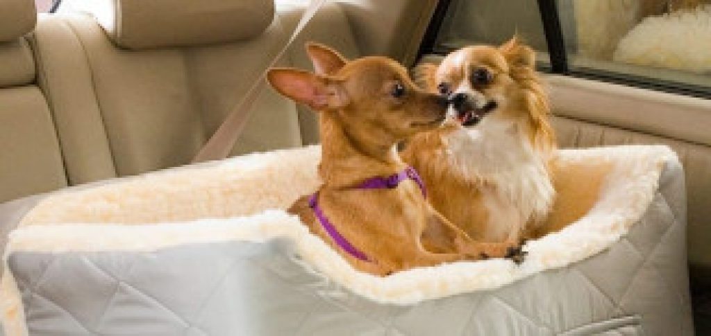 dog car seats for medium dogs
