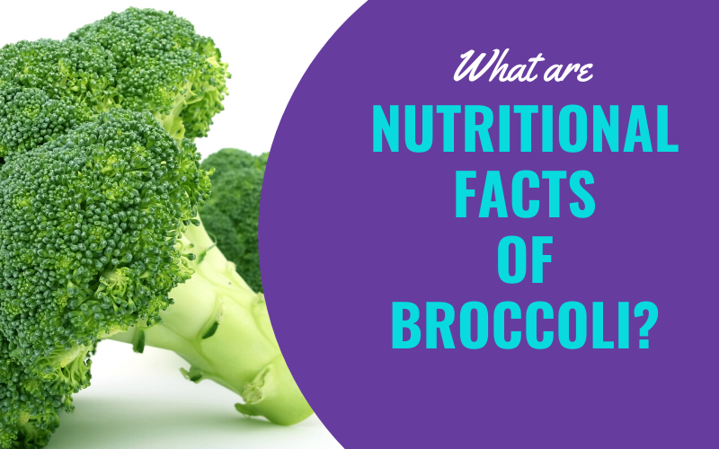 can dogs eat chinese broccoli