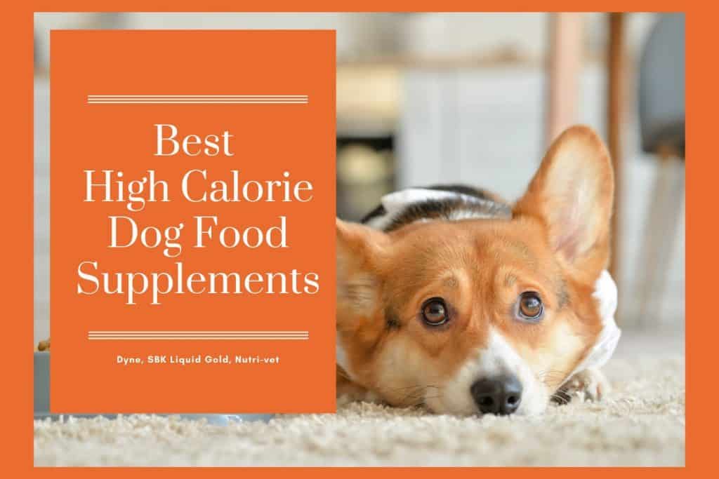 high calorie dog supplement