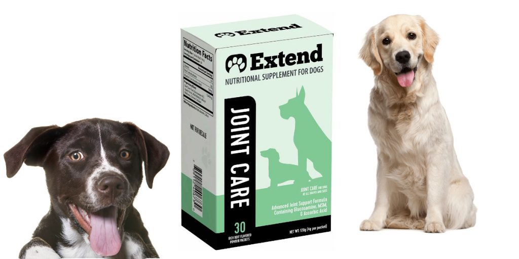 extend dog supplement