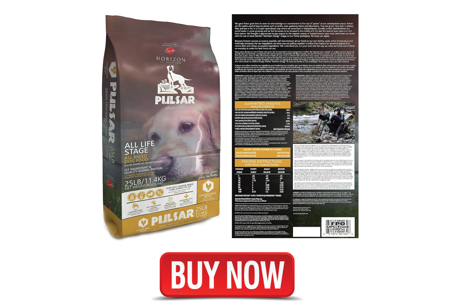 What Is The Best Dog Food for American Bully Which Provides Real Power?