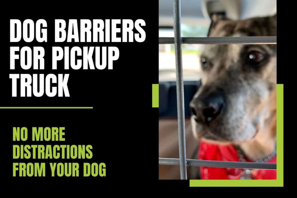 best dog barrier for pickup truck