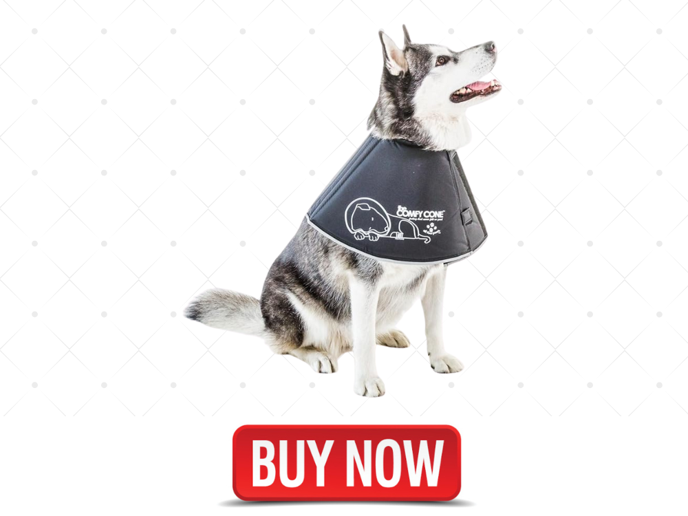 All Four Paws Comfy Cone Pet Cone for Dogs, Cats, Large, Black - Comfortable Soft Dog Cone Collar Alternative for After Surgery, Wound Care, Spay, Neuter - Dog and Cat Recovery Collar