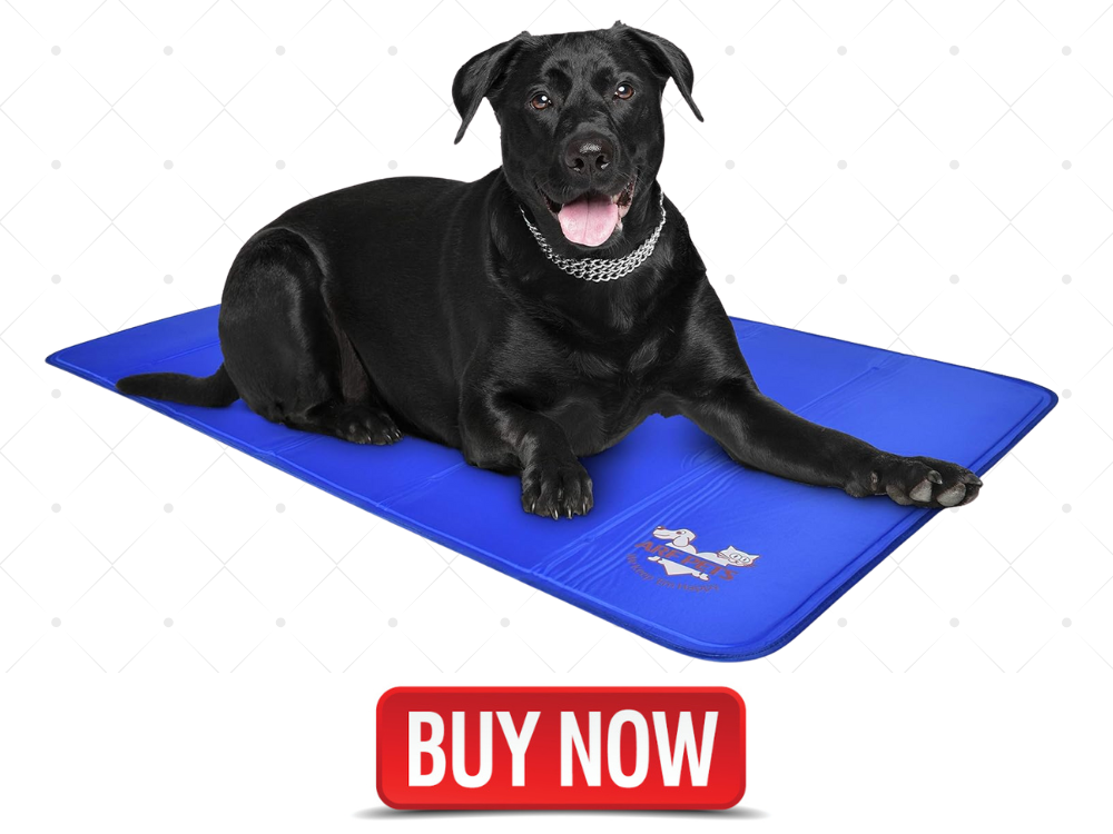 cooling gel memory foam dog bed
