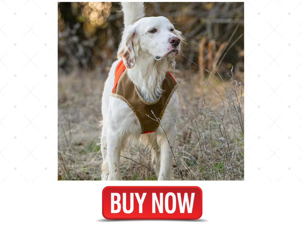 Best Dog Chest Protector