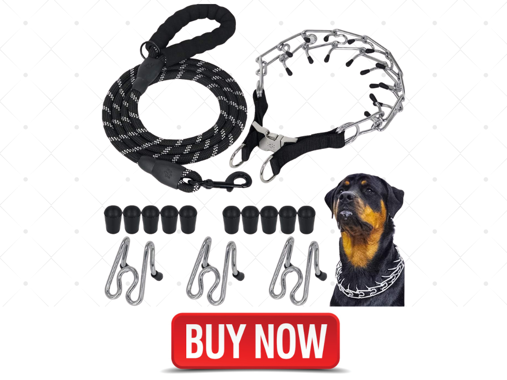 spiked collar for dog training