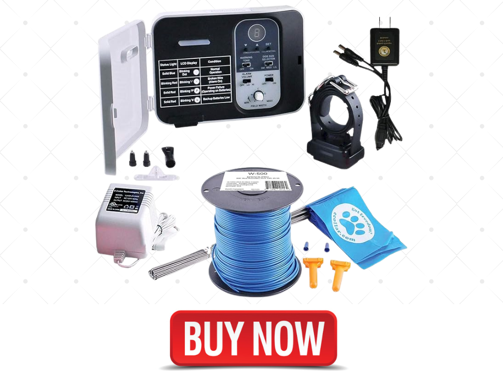 best in ground dog fence