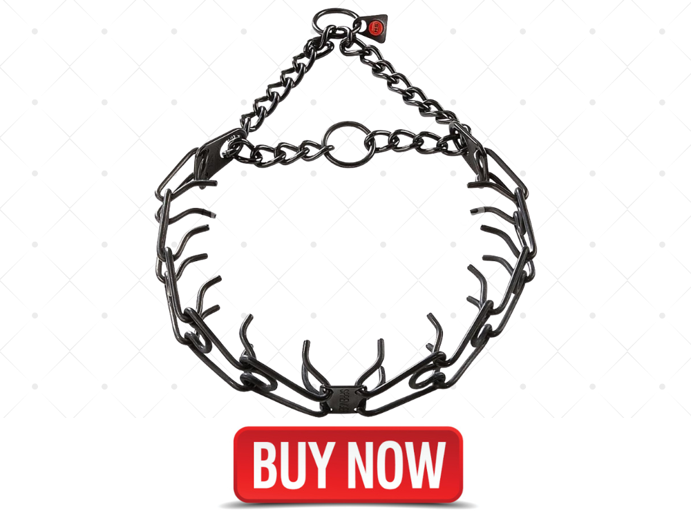 spike training collar