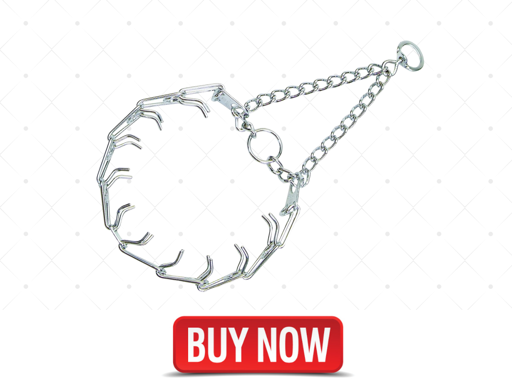 spike training collar