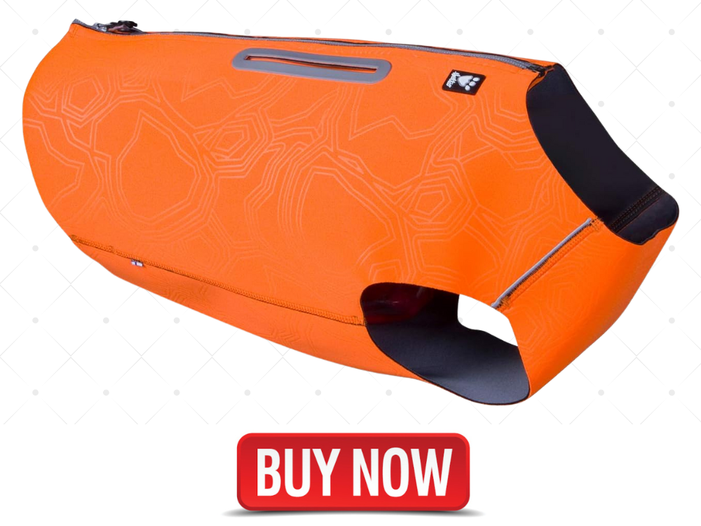 Best dog chest protector