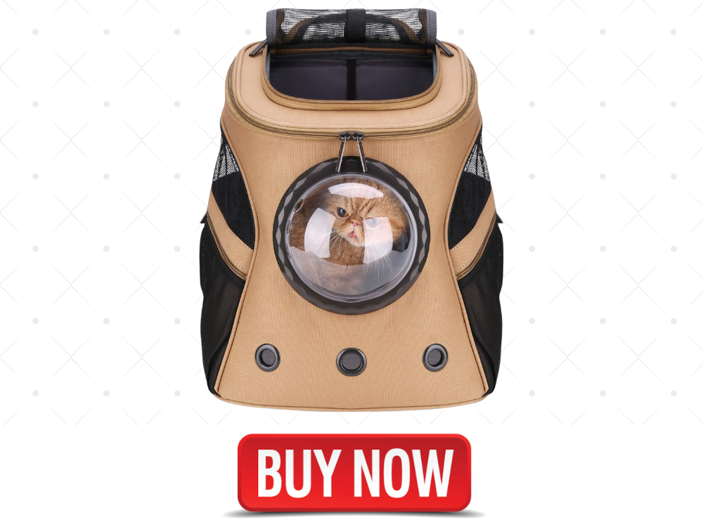 dog carrier for 20 lb dog