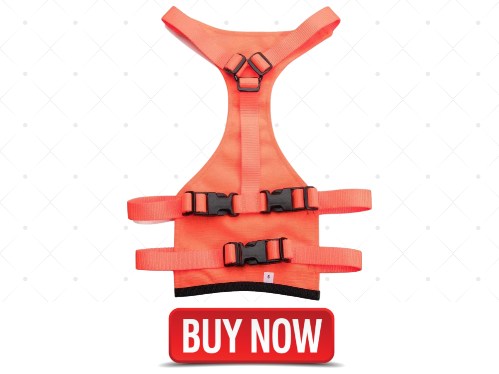 Best Dog Chest Protector