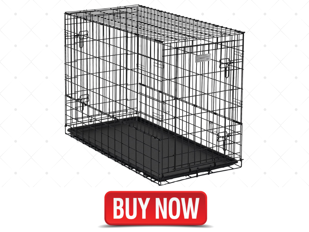 Back seat dog crate