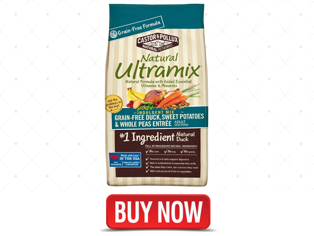 Best Affordable Dog Food for Pitbulls