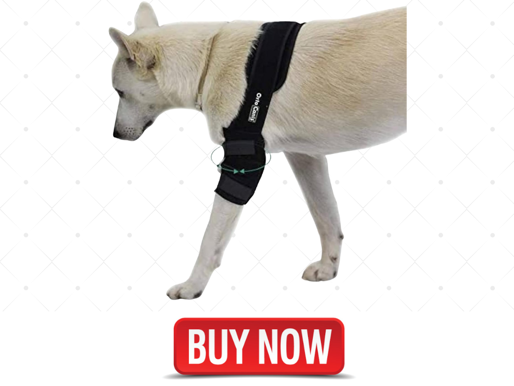 Ortocanis Elbow Protector for Left and Right Leg, 4 Sizes, Color Black, for Dogs with osteoarthritis, Ligament Injuries, Arthritis and ED