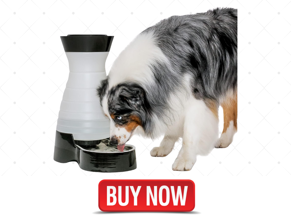 PetSafe Healthy Pet Water Station - Large, 320 oz Capacity - Gravity Pet Water Fountain, Automatic Cat Water Fountain or Dog Water Fountain - Water Dispenser - Removable Stainless Steel Bowl Included