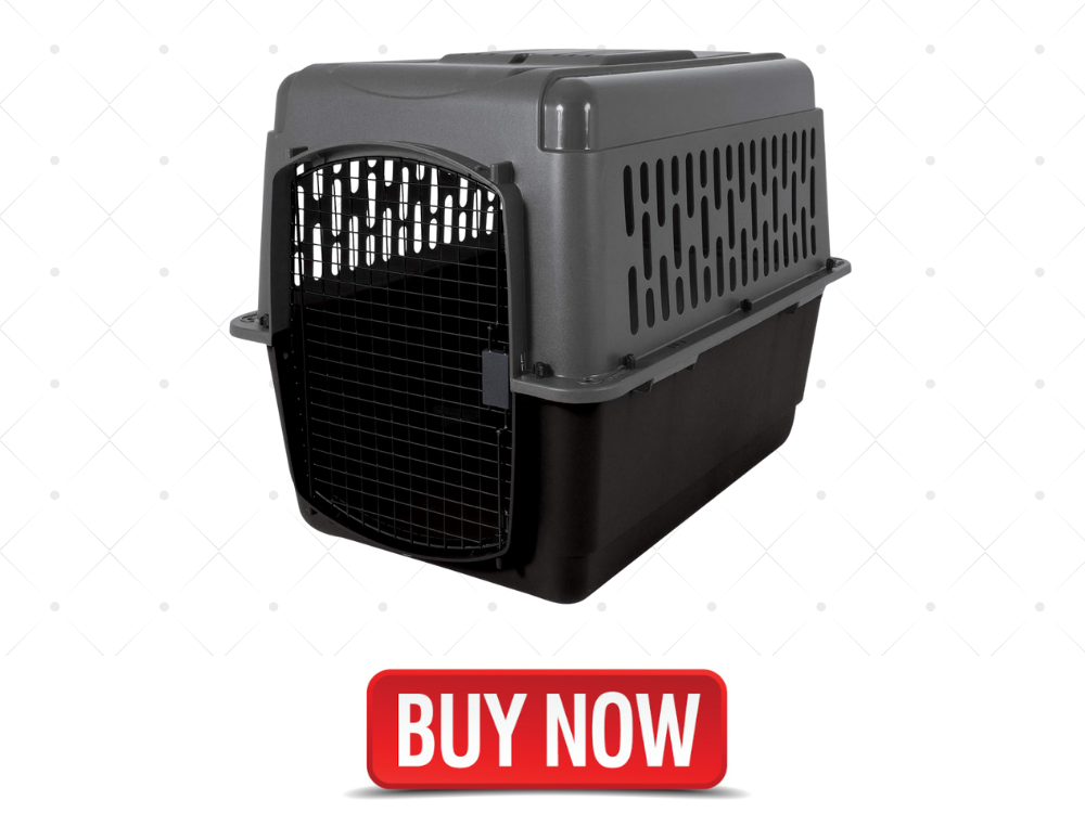 dog crate for car backseat