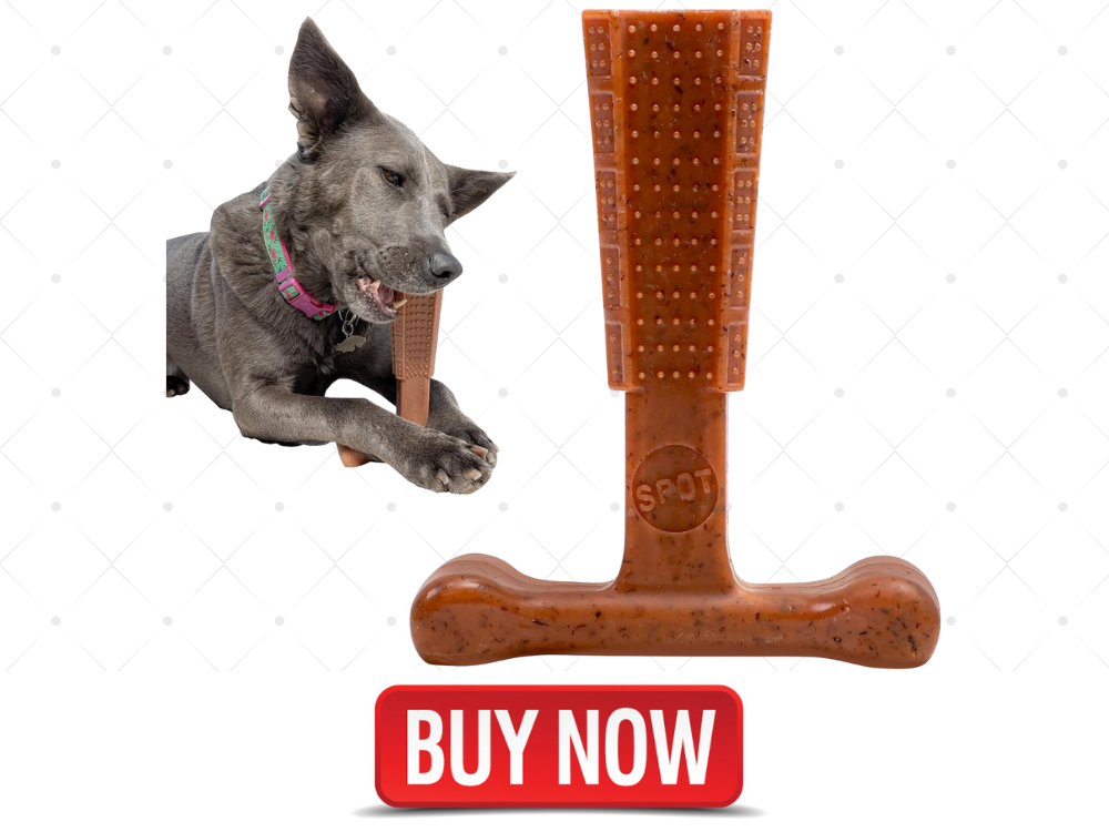 Dog teeth cleaning chew toy