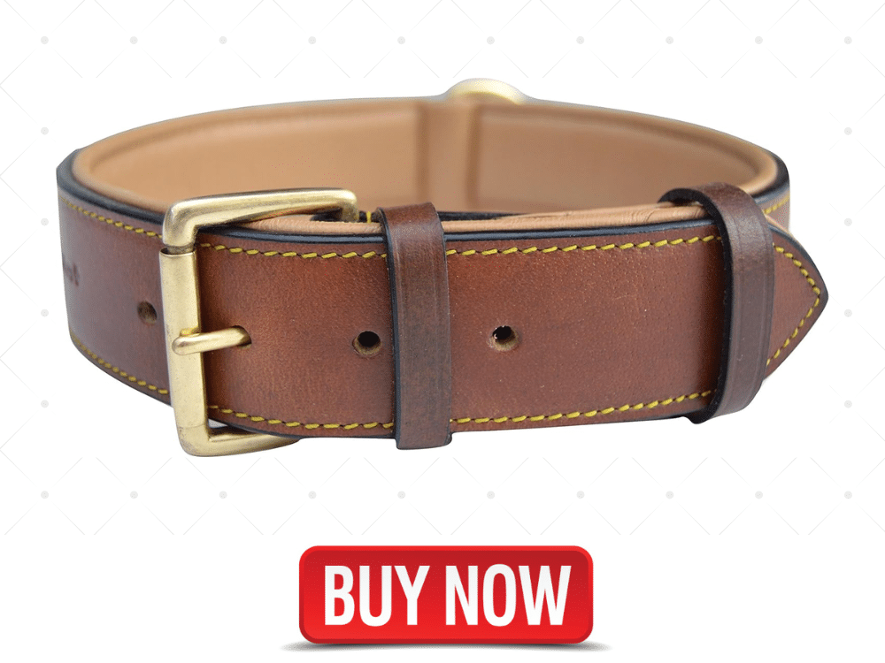Soft Touch Collars Brown XL Leather Padded Dog Collar, 28 Inches Long x 1.75 Inches Wide, Neck Size 22 to 25, Full Grain Real Luxury Leather for XLarge Dogs