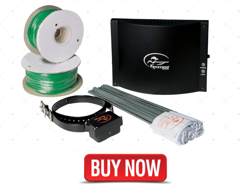 best electric dog fence