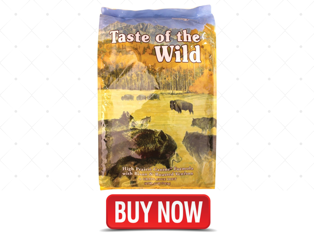 best dog for pitbulls