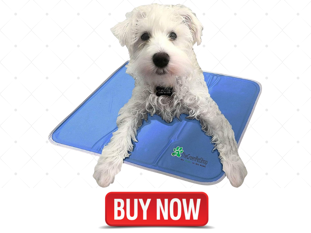 best cooling dog bed