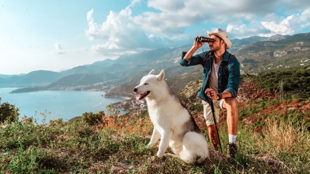 Tips for Taking Your Dog Up a Mountain