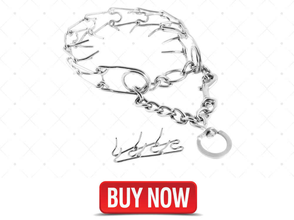 dog training collar with spikes