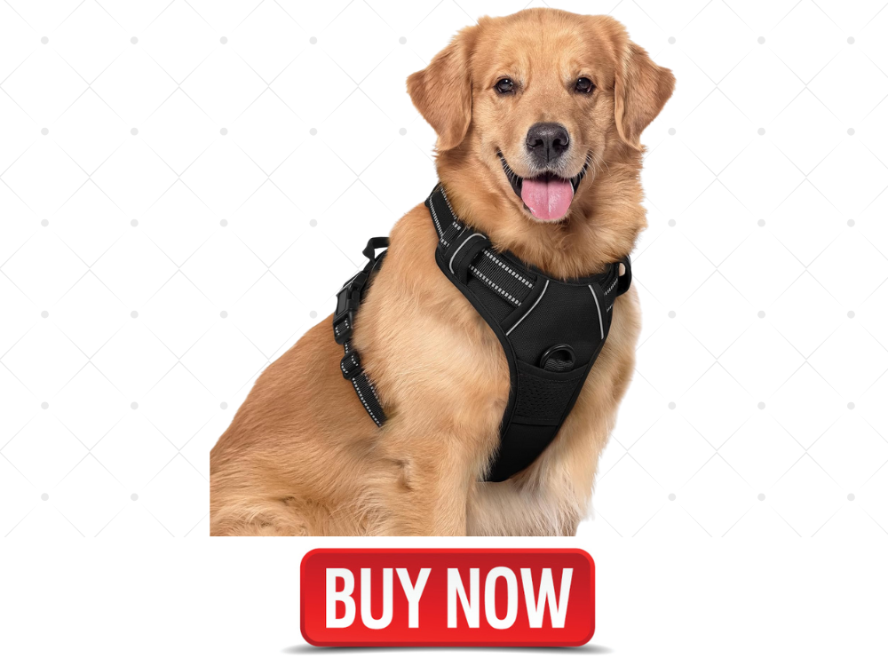 Best dog harness
