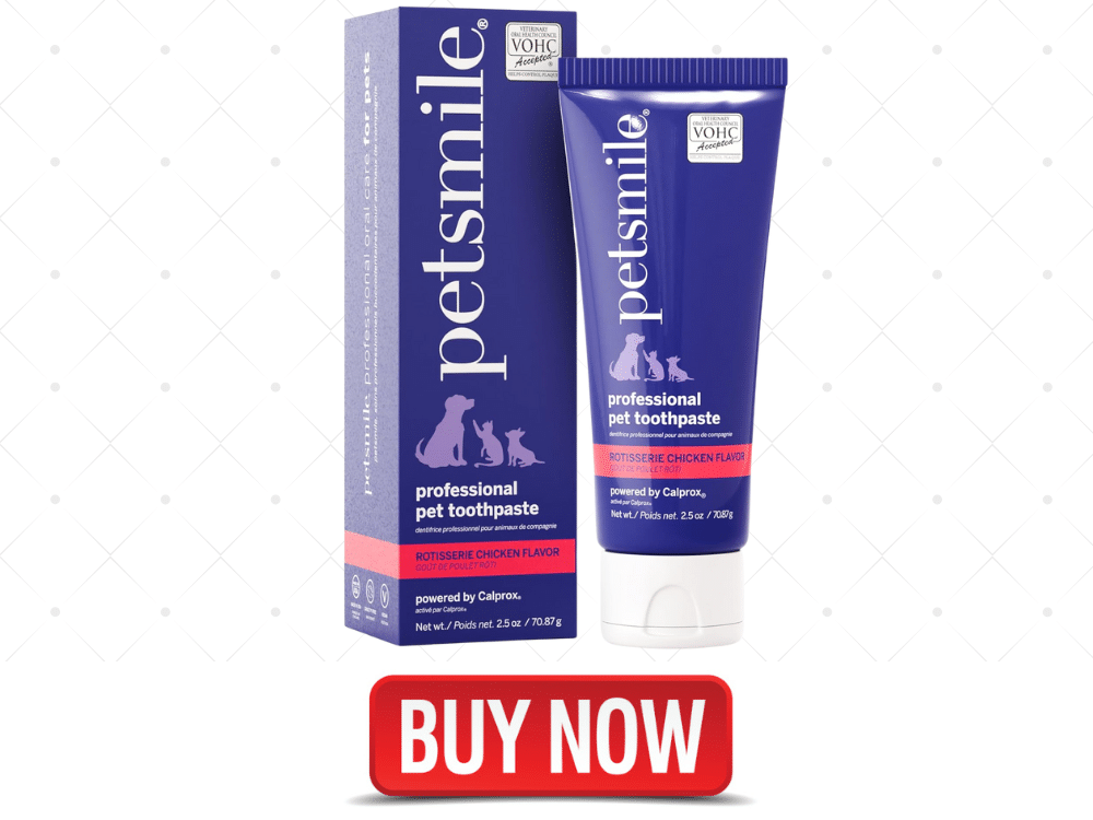 10 Best Vet Recommended Dog Toothpaste of 2025