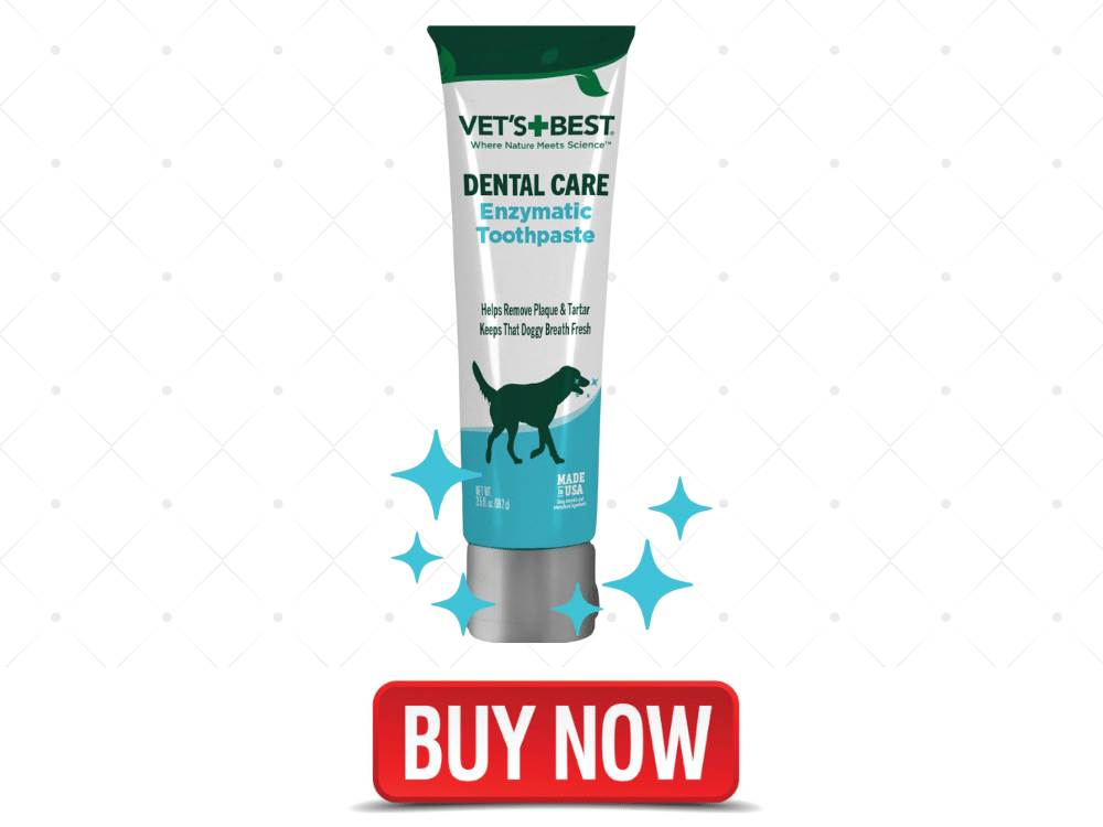 Best Enzamytic Dog Toothpaste